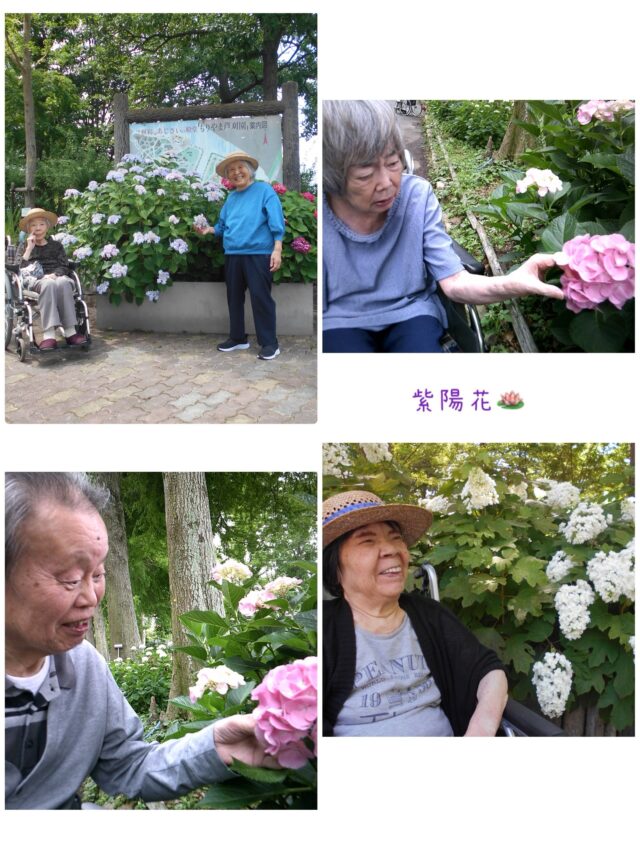 【色とりどりの紫陽花に癒されて🌸】
グループホームなぎさ🏠
 
天候にも恵まれ、ご入居者の皆さまと一緒に紫陽花見学へ出かけました😊
 
青や紫、ピンクなど、色とりどりに咲き誇る紫陽花を眺めながら、「きれいやね」「こんな色もあるんやね」と自然と笑顔があふれます。
 
心地よい風を感じ、季節の移ろいを楽しむひとときとなりました。
職員も一緒にゆっくり散策し、皆さまとの素敵な思い出がまた一つ増えました✨
 
これからも季節を感じられるお出かけを大切にし、その人らしい暮らしを支えていきます。
 
🌿🌸🌿
 
#グループホーム #認知症ケア #あじさい#季節を楽しむ #介護 高齢者福祉 地域とつながる